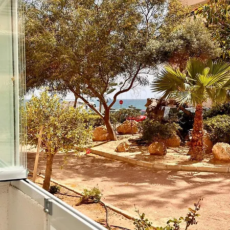 Apartment Casa Blanca First Line La Mata -